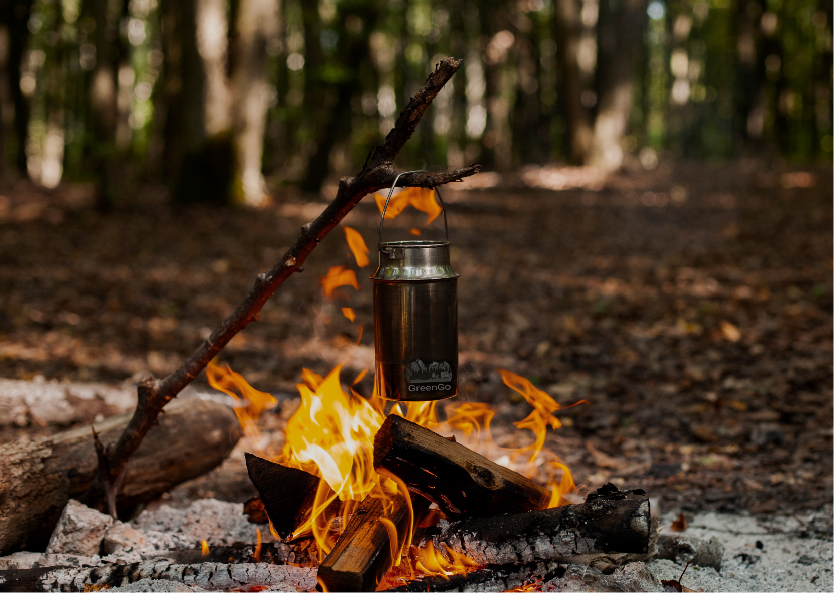 GreenGo — Изображение №7 — Брендинг, Графика на Dprofile