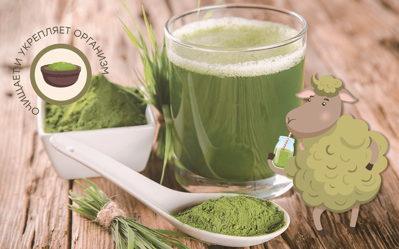 SHEEP SUPERFOOD- package design — Изображение №5 — Брендинг, Графика на Dprofile