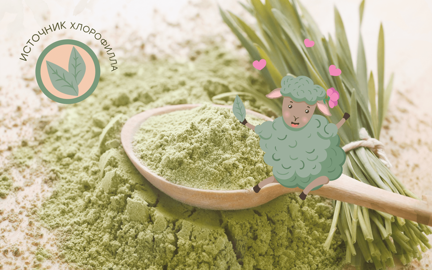 SHEEP SUPERFOOD- package design — Изображение №8 — Брендинг, Графика на Dprofile