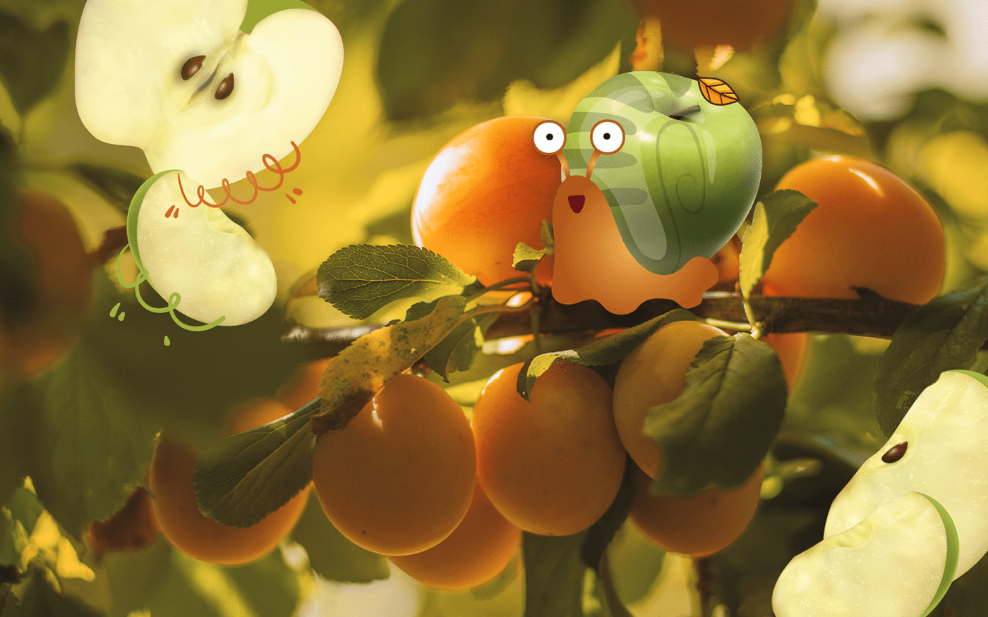 Дизайн упаковки детских Пастилок - Fresh Atelie — Изображение №9 — Брендинг, Иллюстрация на Dprofile