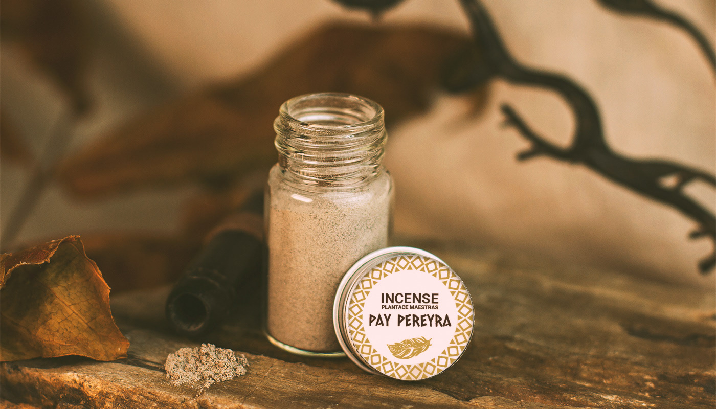 Ayaho — Изображение №15 — Брендинг на Dprofile