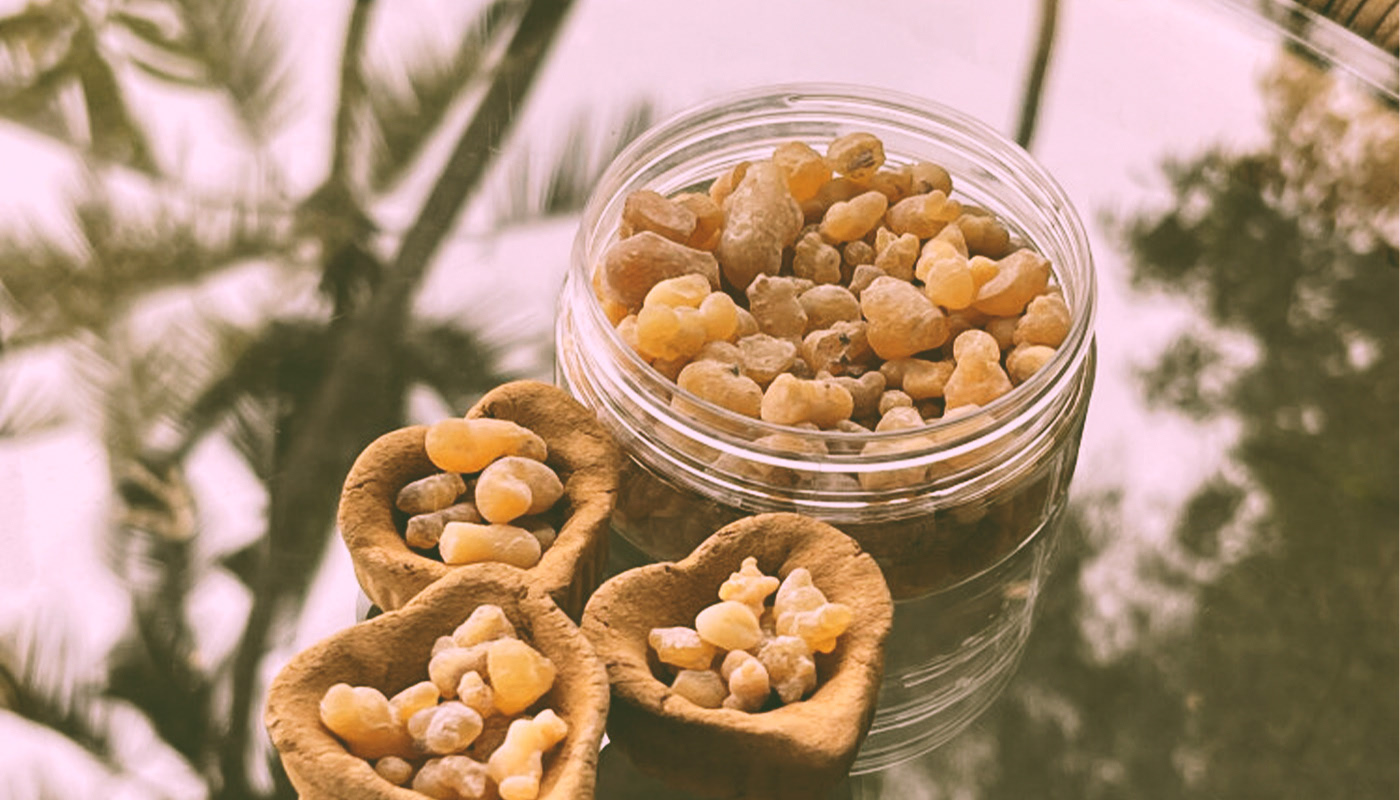 Ayaho — Изображение №9 — Брендинг на Dprofile