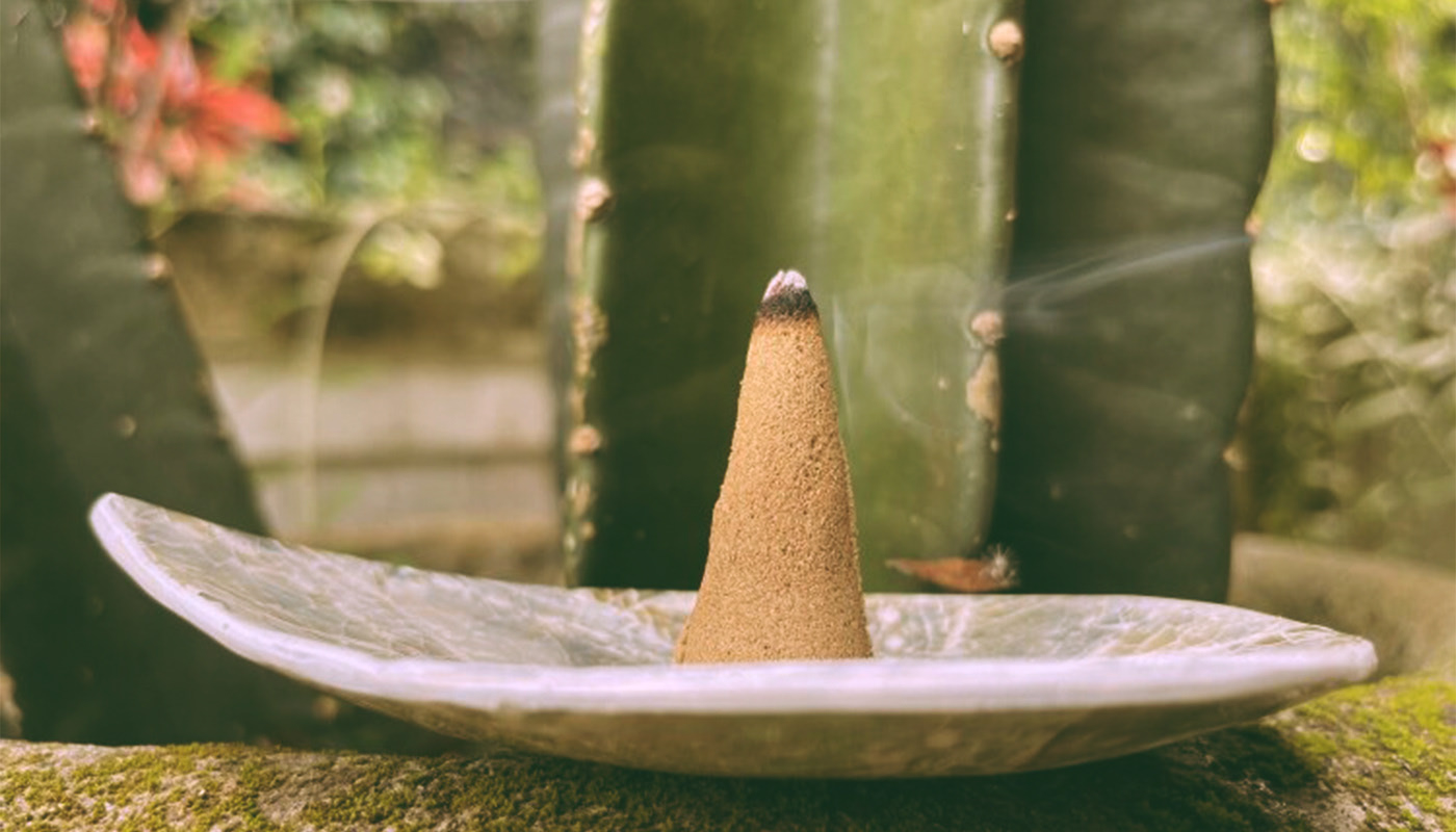 Ayaho — Изображение №5 — Брендинг на Dprofile