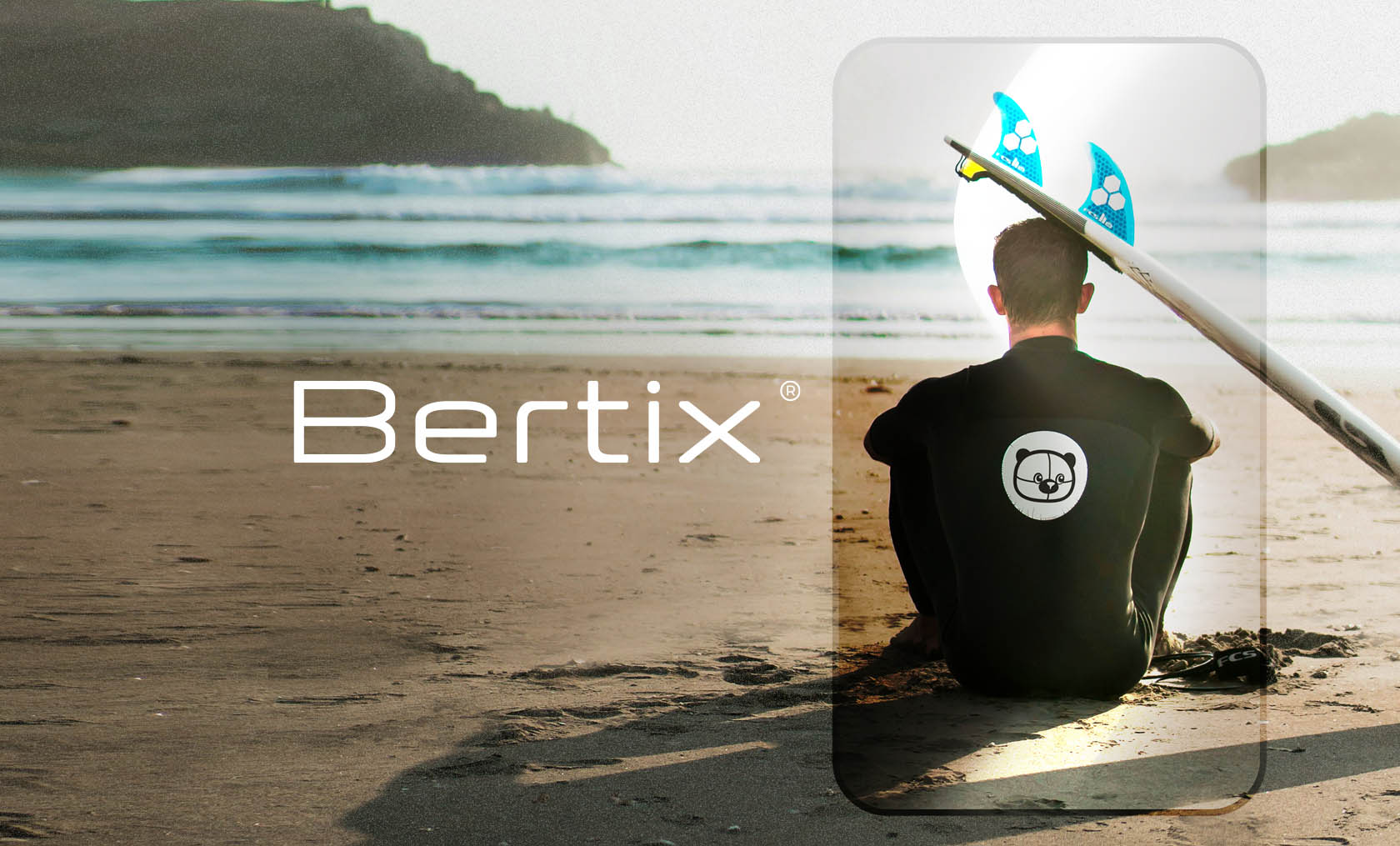 Bertix | Branding — Изображение №1 — Брендинг на Dprofile