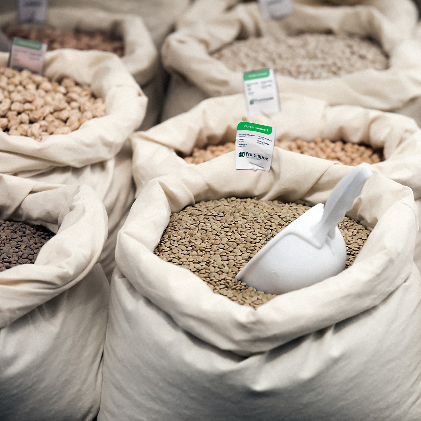 Fruitimpex | Corporate identity — Изображение №6 — Брендинг, Графика на Dprofile