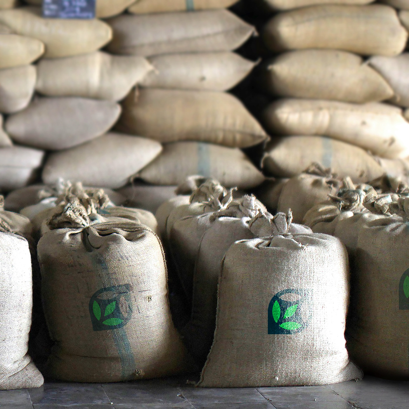 Fruitimpex | Corporate identity — Изображение №5 — Брендинг, Графика на Dprofile