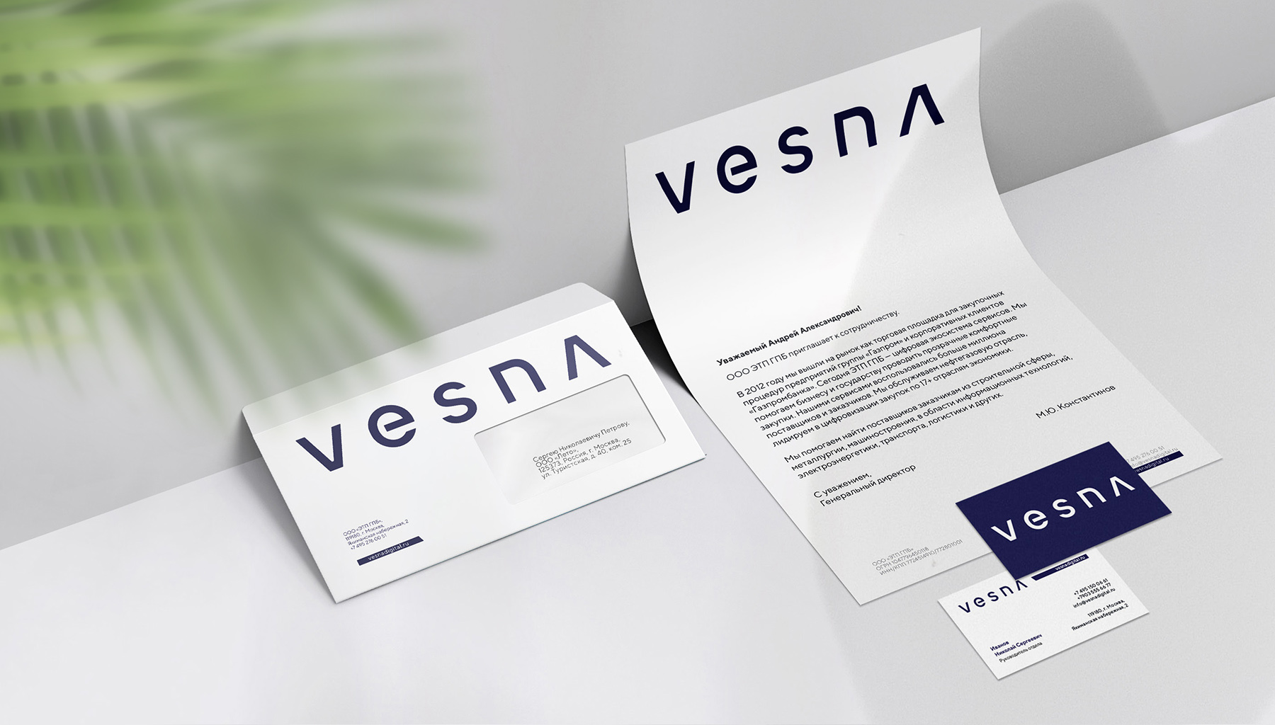 VESNA | Разработка бренда IT-компании — Изображение №2 — Брендинг на Dprofile