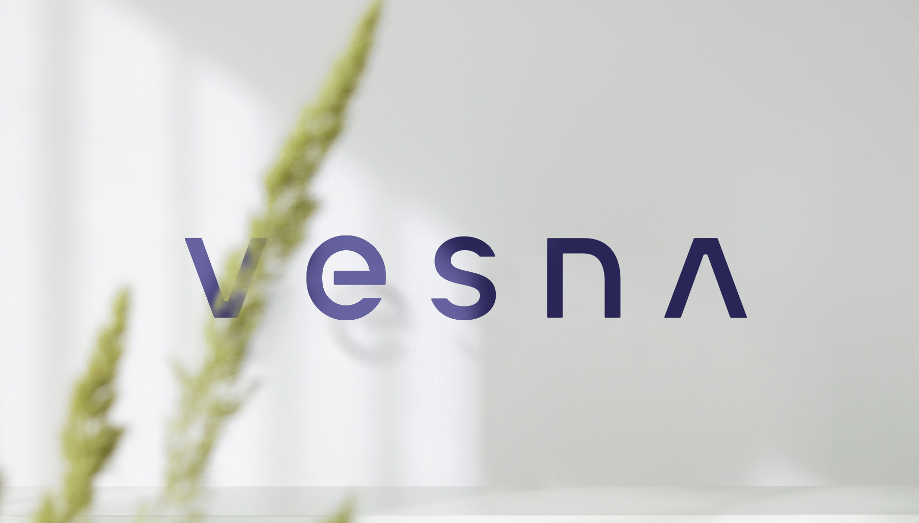 VESNA | Разработка бренда IT-компании — Изображение №1 — Брендинг на Dprofile