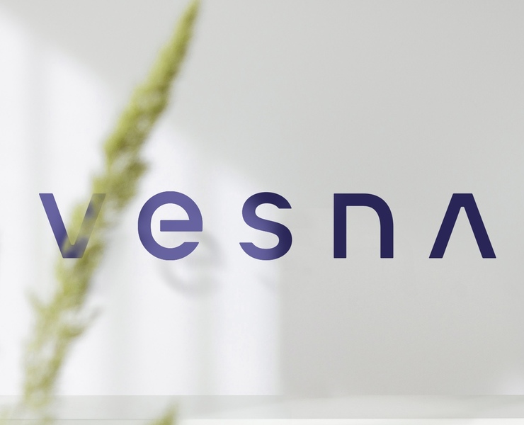 VESNA | Разработка бренда IT-компании на Dprofile