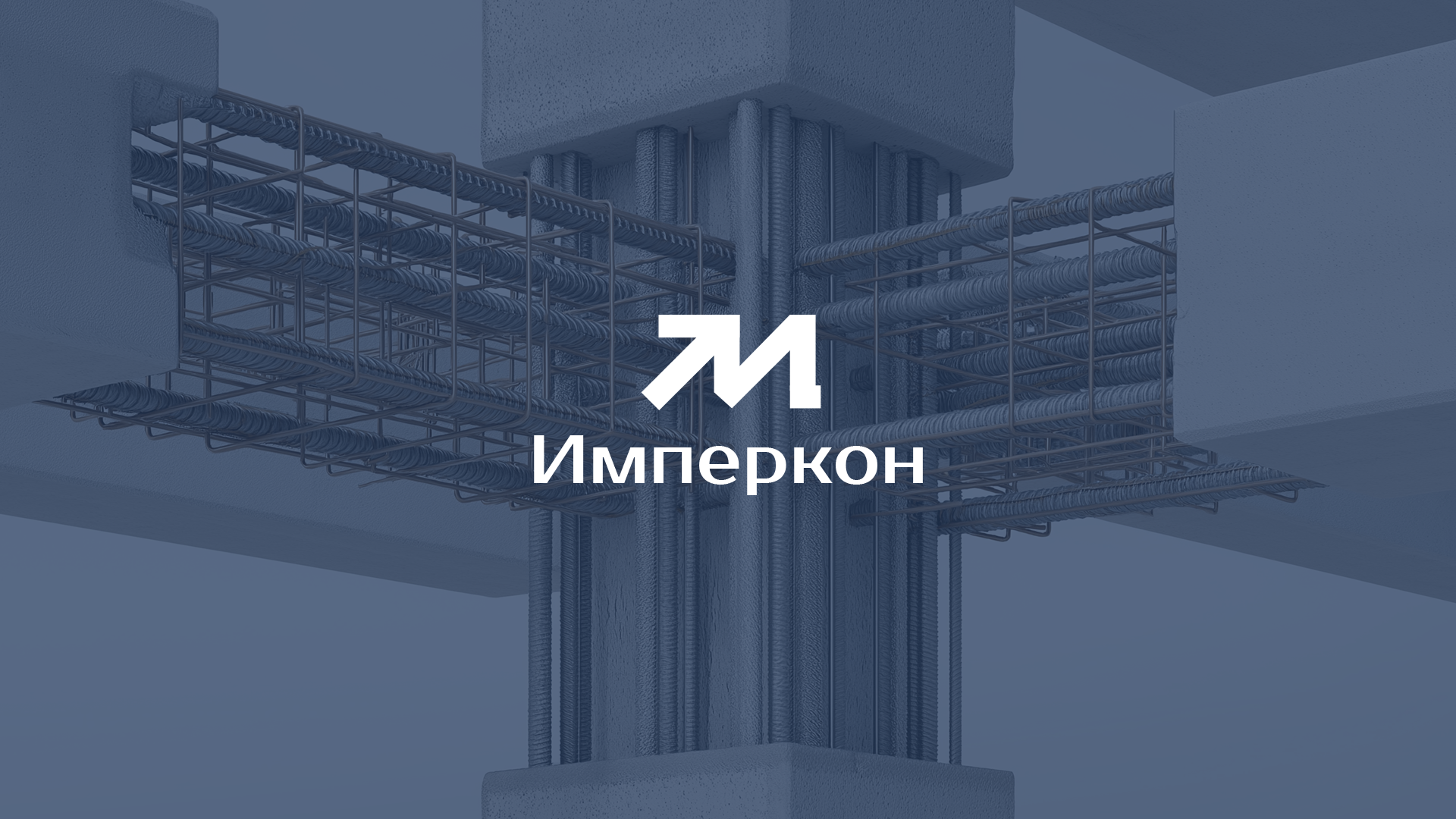 LOGO - 2024 — Изображение №9 — Брендинг на Dprofile