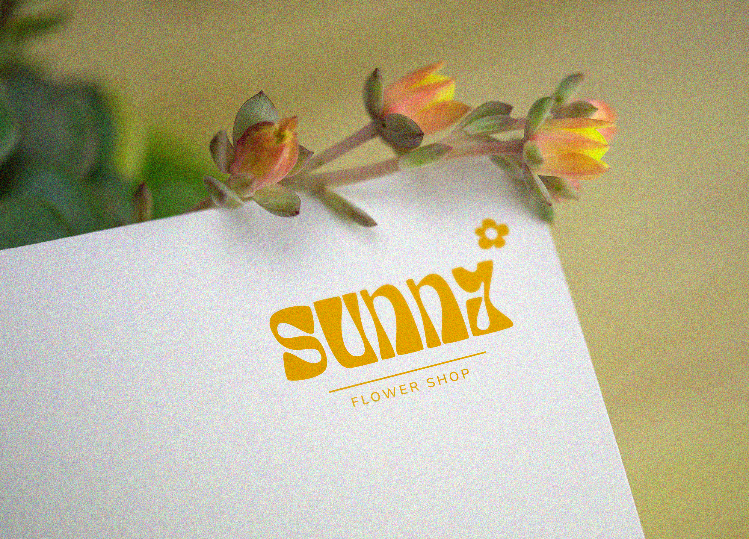 SUNNY | ЦВЕТОЧНЫЙ МАГАЗИН — Изображение №1 — Брендинг, Графика на Dprofile
