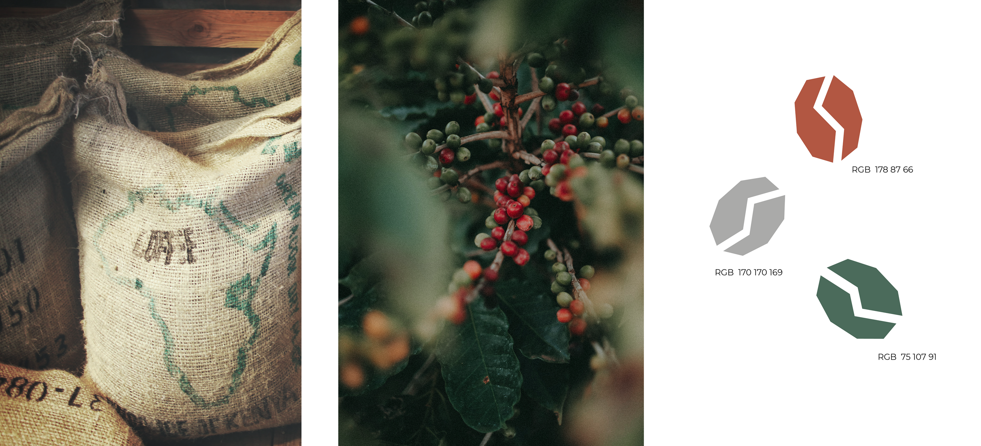 ZERNO CAFÉ — Изображение №6 — Брендинг, Графика на Dprofile