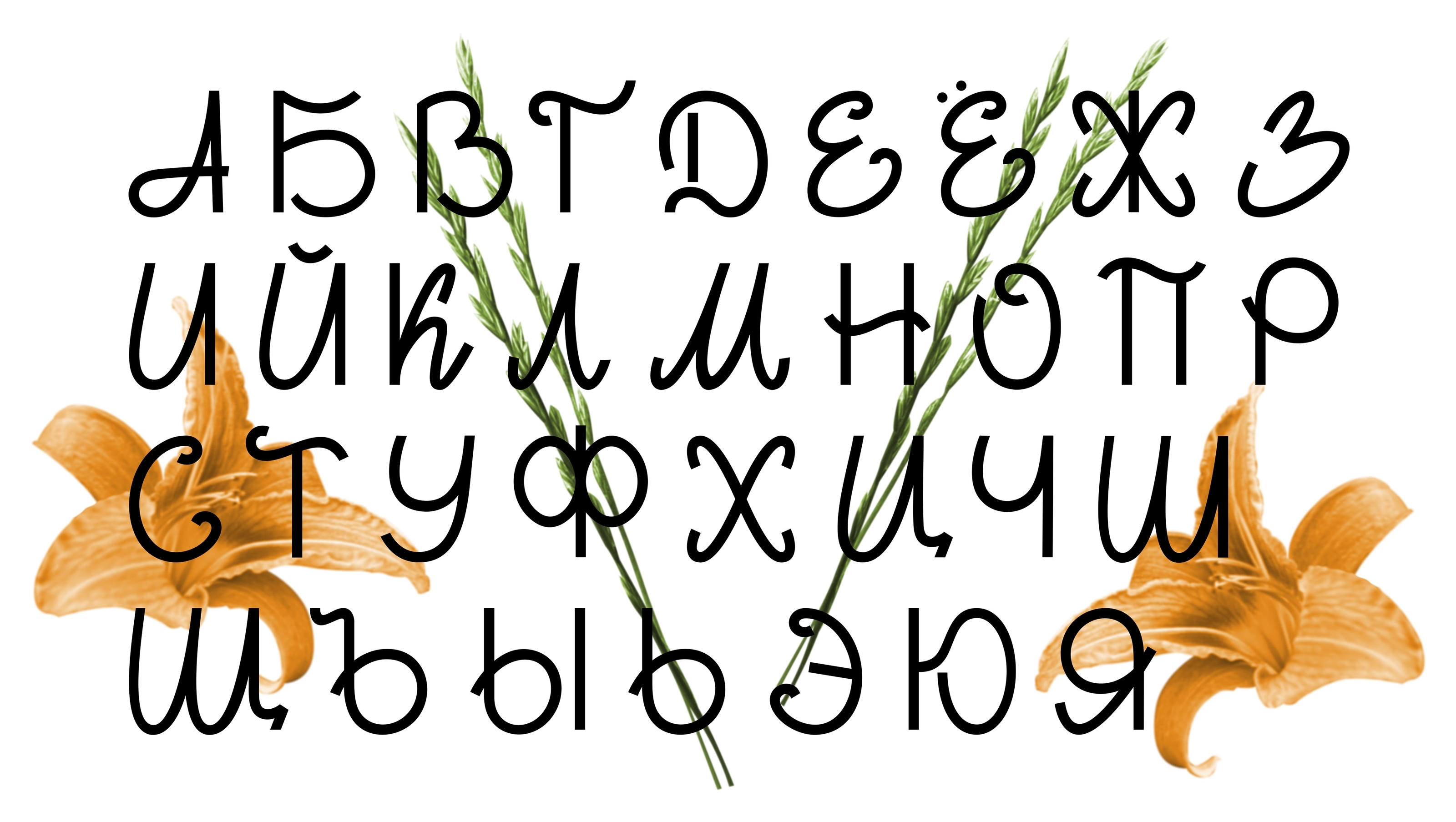Fruits and Vegetables — Display Font — Изображение №3 — Графика на Dprofile