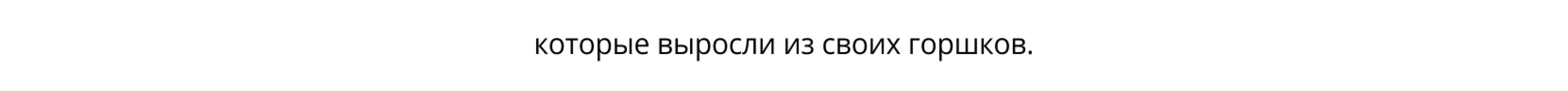 Fruits and Vegetables — Display Font — Изображение №16 — Графика на Dprofile