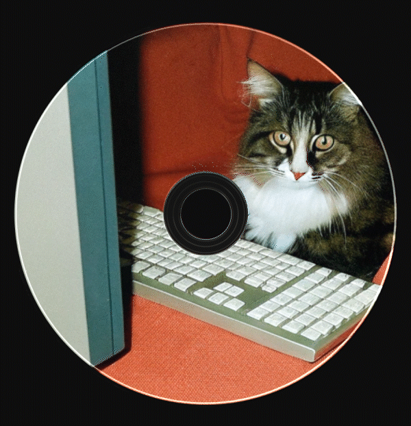 CD-диски, коты и нулевые — Изображение №21 — Брендинг на Dprofile