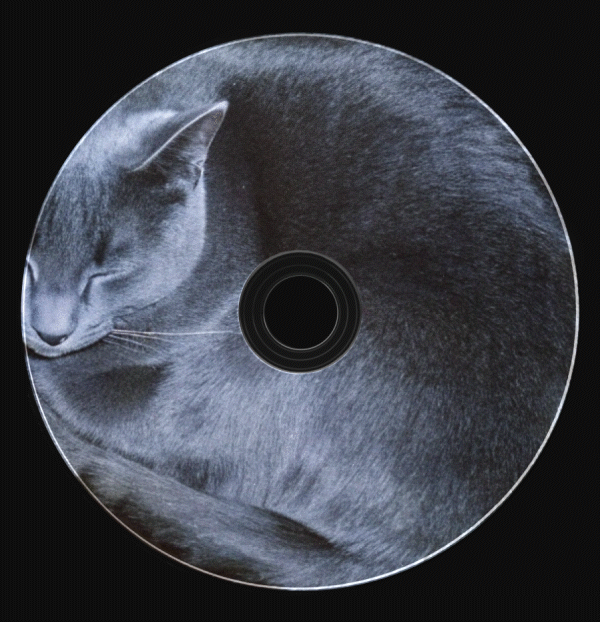 CD-диски, коты и нулевые — Изображение №20 — Брендинг на Dprofile