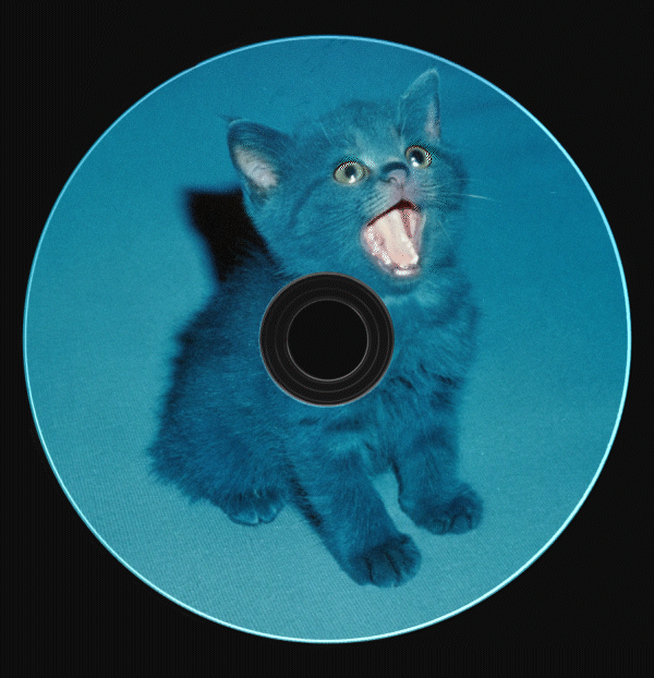 CD-диски, коты и нулевые — Изображение №19 — Брендинг на Dprofile