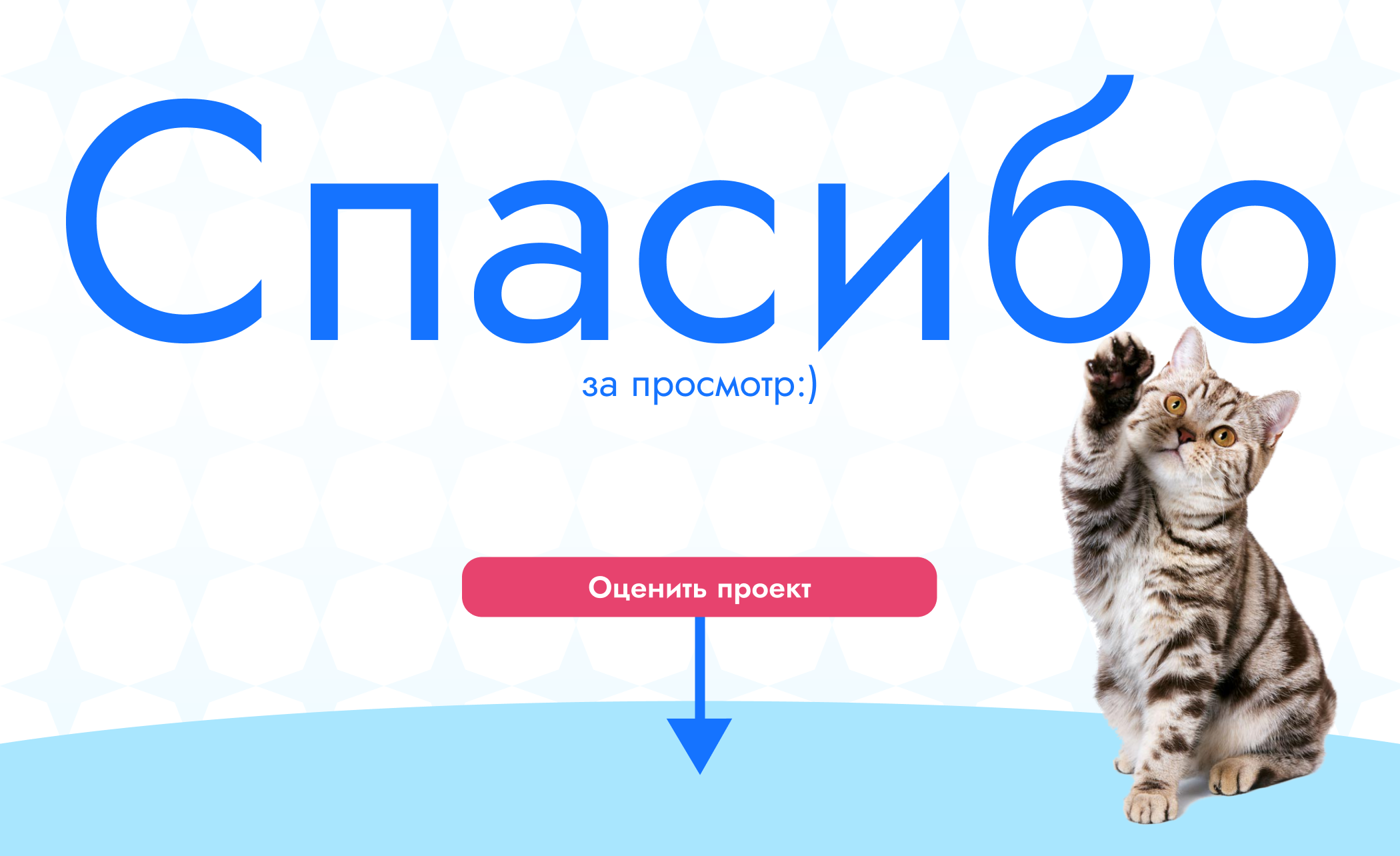 Кошачий наполнитель №1 Силикагель | Landing page — Изображение №8 — Интерфейсы, Графика на Dprofile