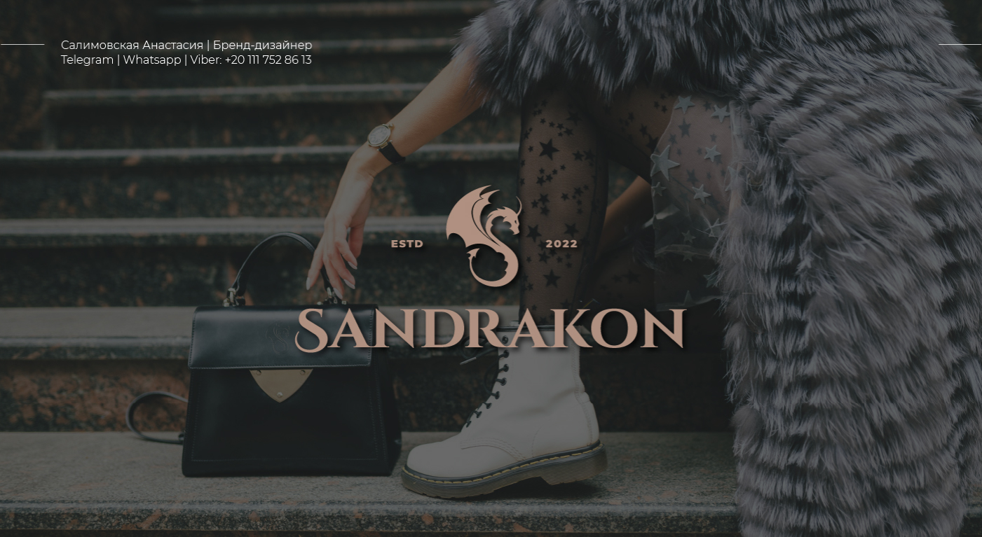Логотип и фирменный стиль | SANDRAKON — Изображение №1 — Брендинг на Dprofile