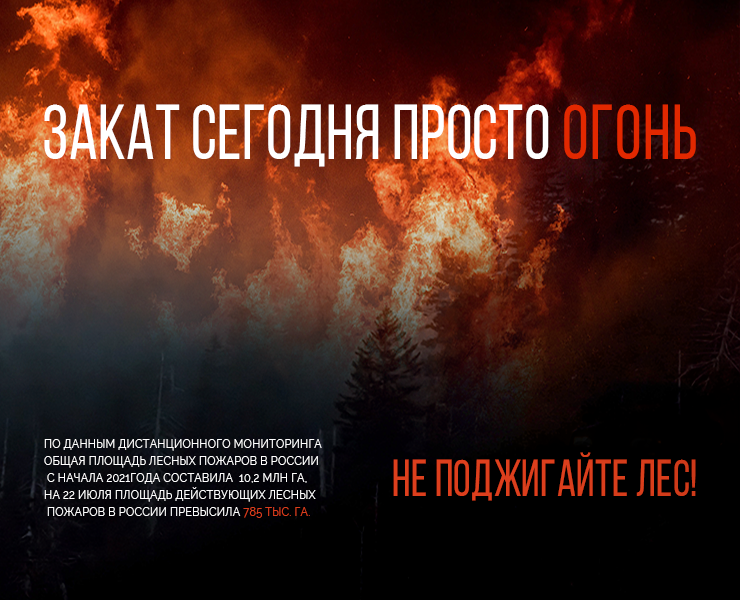 Плакат "Твой взгляд" на Dprofile