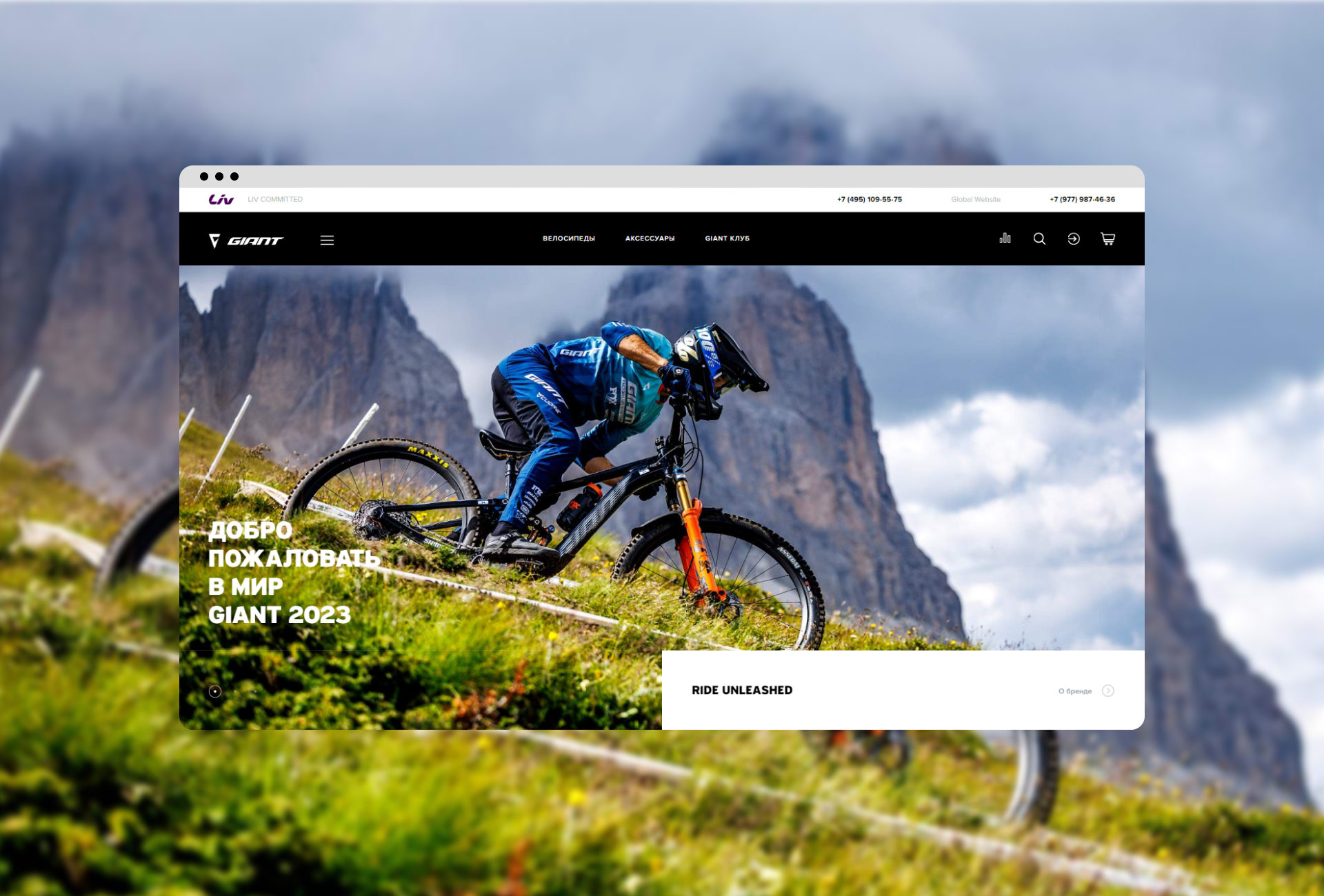GIANT | Интернет-магазин и Клуб велосипедистов — Изображение №1 — Маркетинг, Интерфейсы на Dprofile