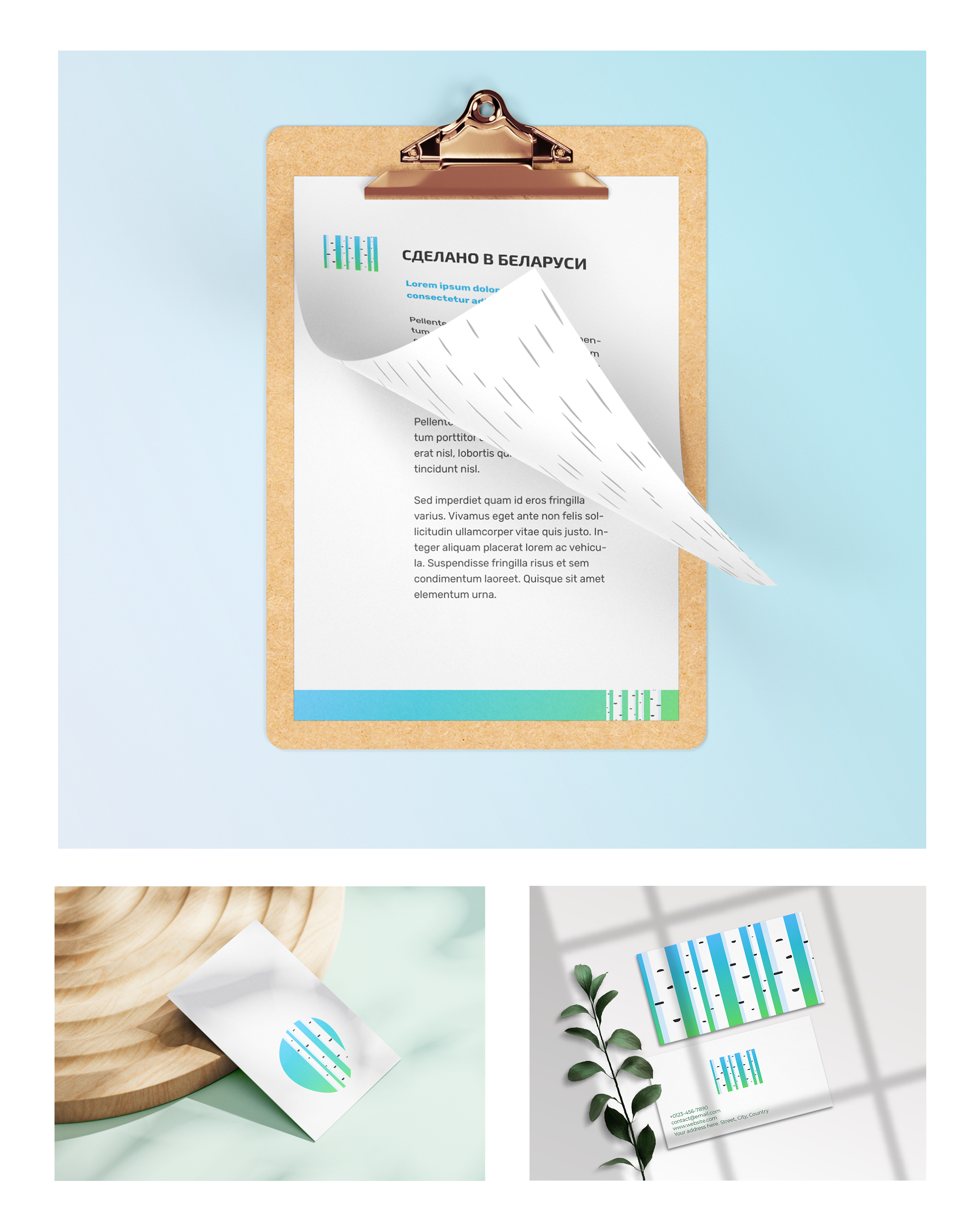 Branding for belarusian retailer — Изображение №3 — Брендинг, Графика на Dprofile