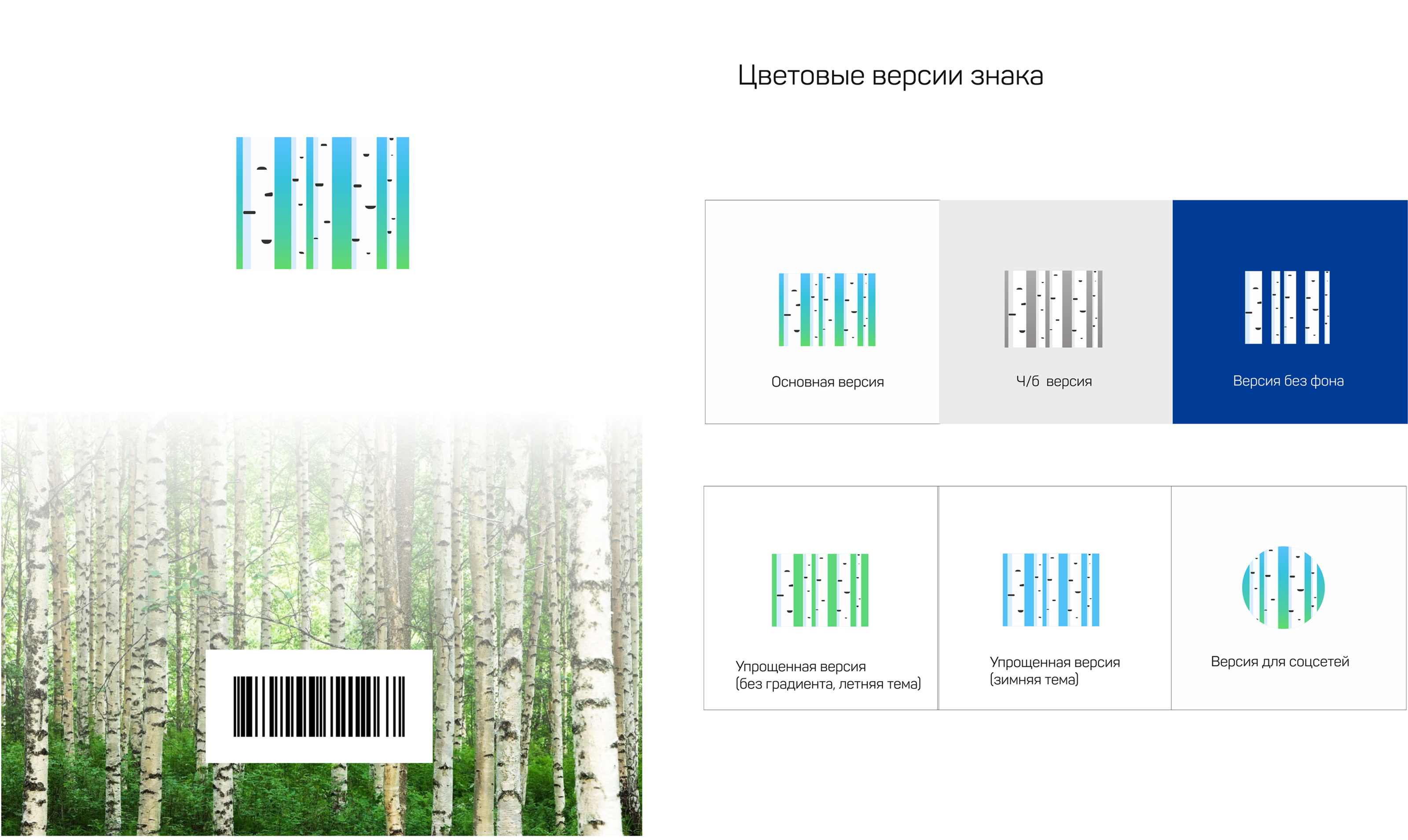 Branding for belarusian retailer — Изображение №2 — Брендинг, Графика на Dprofile