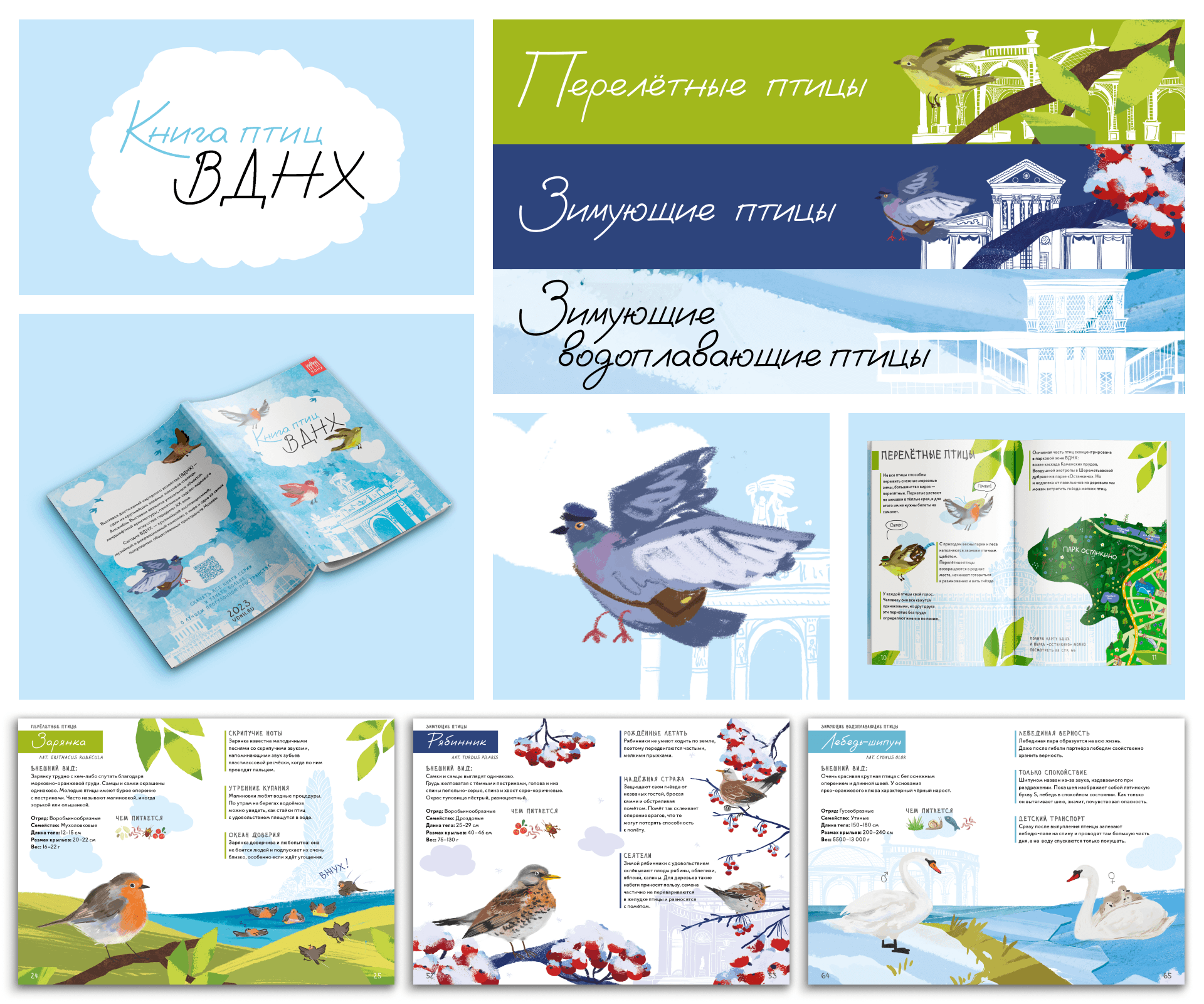 Книга птиц ВДНХ — Изображение №7 — Иллюстрация, Графика на Dprofile