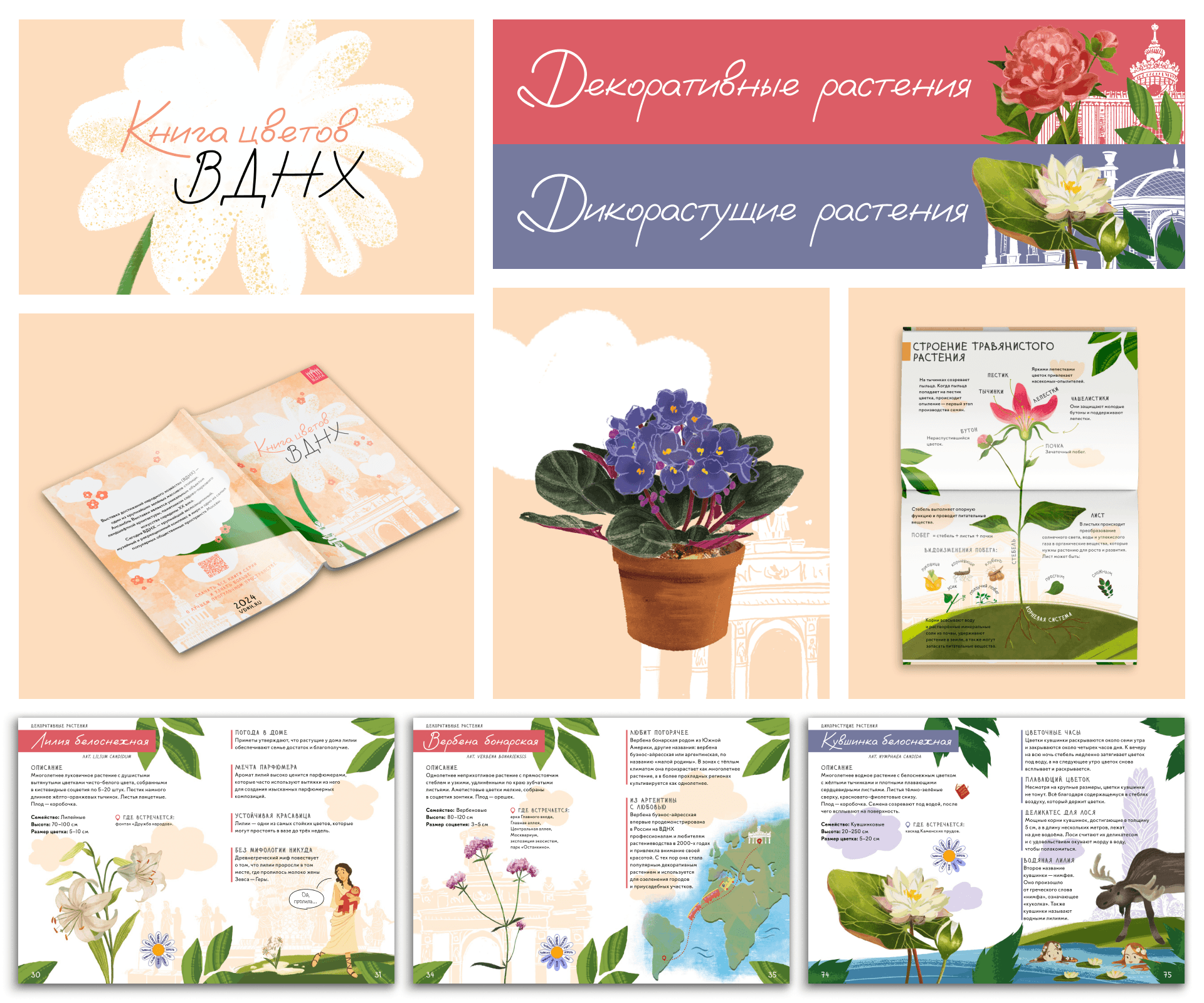 Книга цветов ВДНХ — Изображение №7 — Иллюстрация, Графика на Dprofile