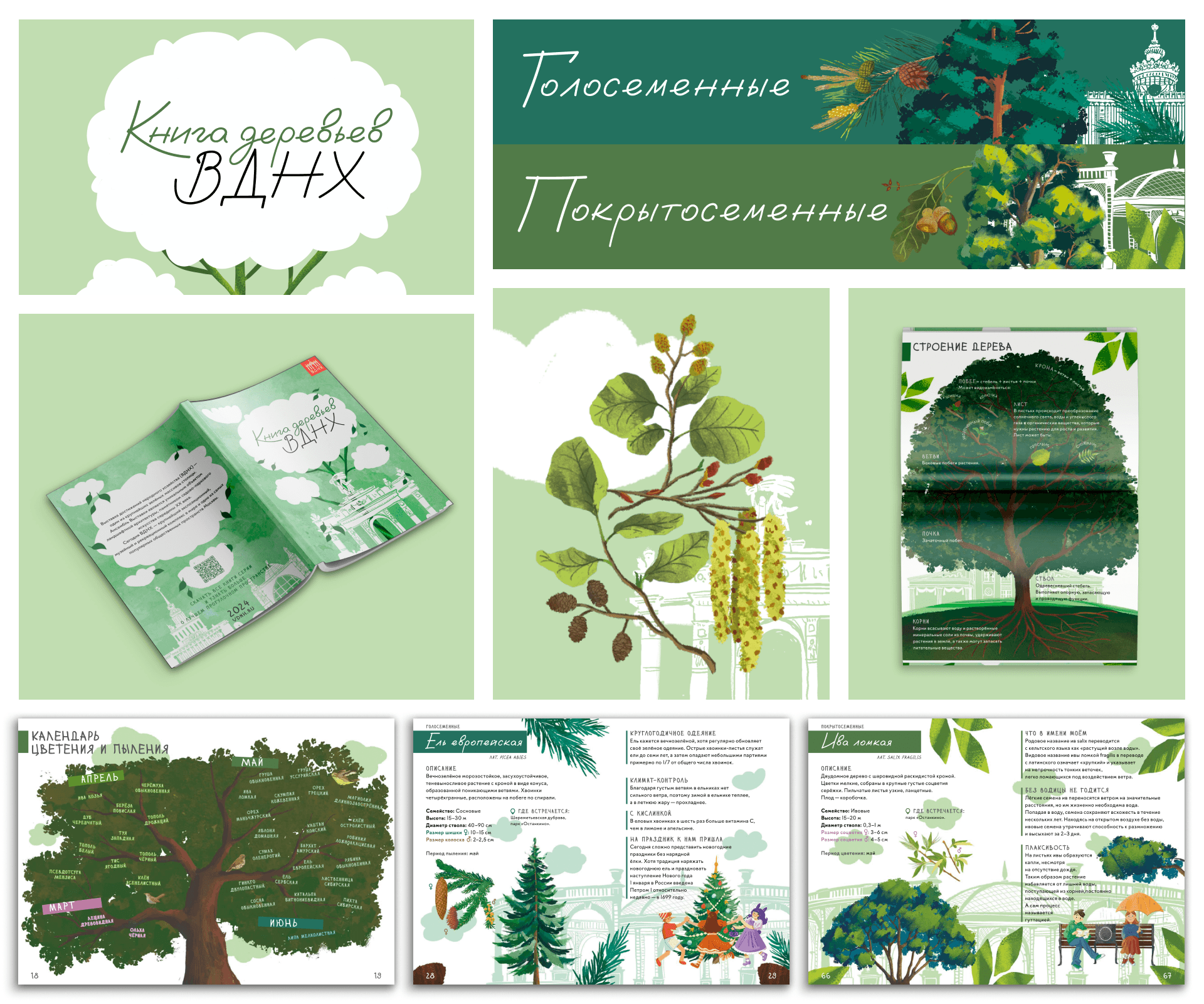 Книга деревьев ВДНХ — Изображение №7 — Иллюстрация, Графика на Dprofile