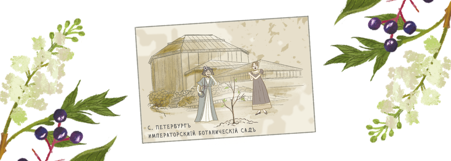 Книга деревьев ВДНХ — Изображение №6 — Иллюстрация, Графика на Dprofile
