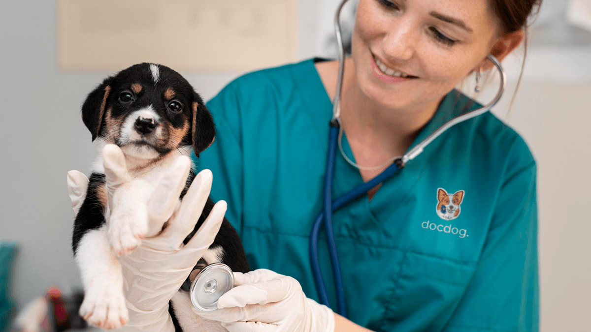 Фирменный стиль для ветеринарной клиники | docdog. — Изображение №7 — Брендинг, Иллюстрация на Dprofile