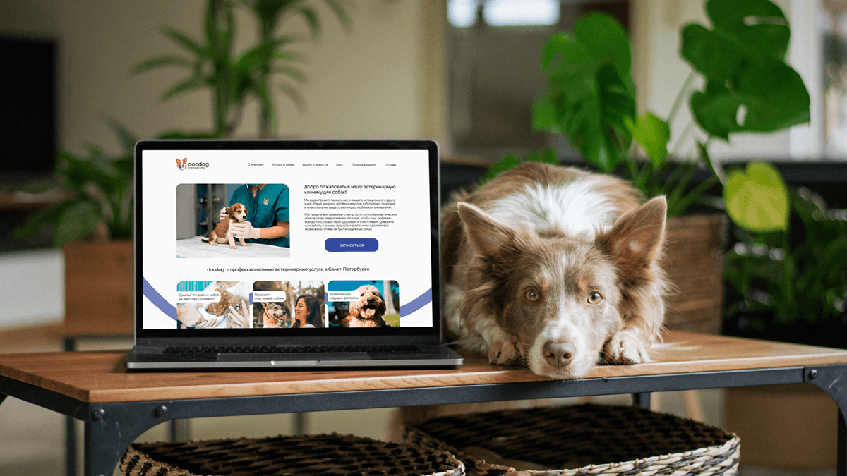 Фирменный стиль для ветеринарной клиники | docdog. — Изображение №11 — Брендинг, Иллюстрация на Dprofile