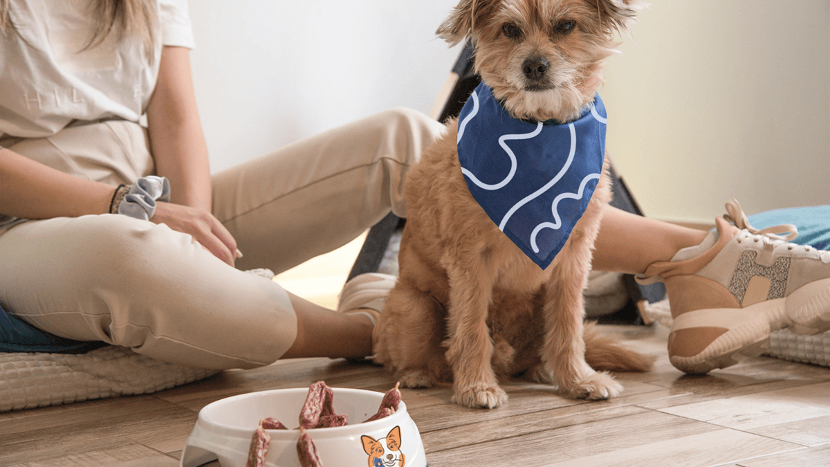 Фирменный стиль для ветеринарной клиники | docdog. — Изображение №8 — Брендинг, Иллюстрация на Dprofile