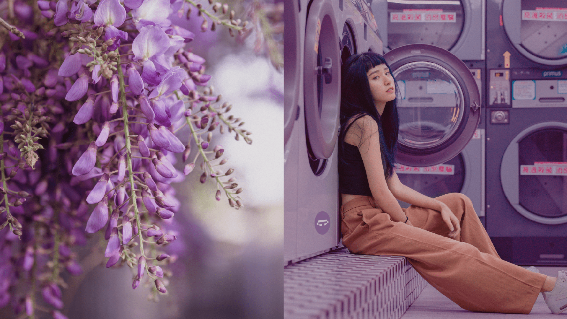 Логотип для сети прачечных — Изображение №4 — Брендинг, Графика на Dprofile