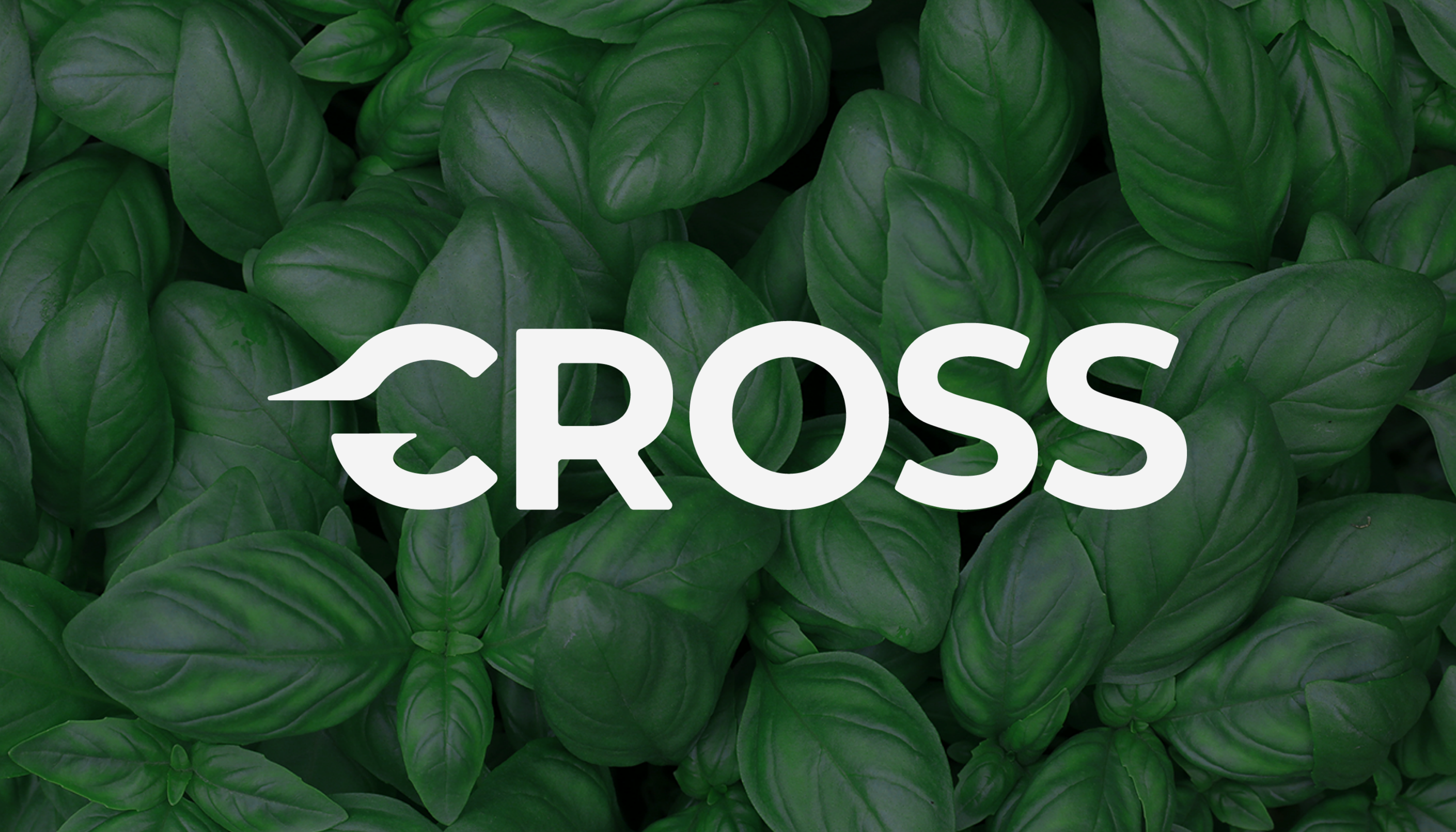 Логотип для маркетплейса — Изображение №10 — Брендинг, Маркетинг на Dprofile