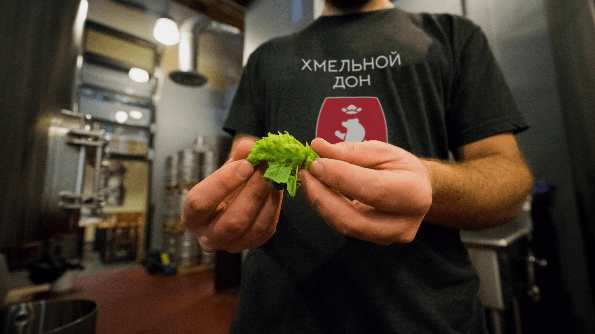 Логотип и фирменный стиль для пивоварни — Изображение №11 — Брендинг, Графика на Dprofile