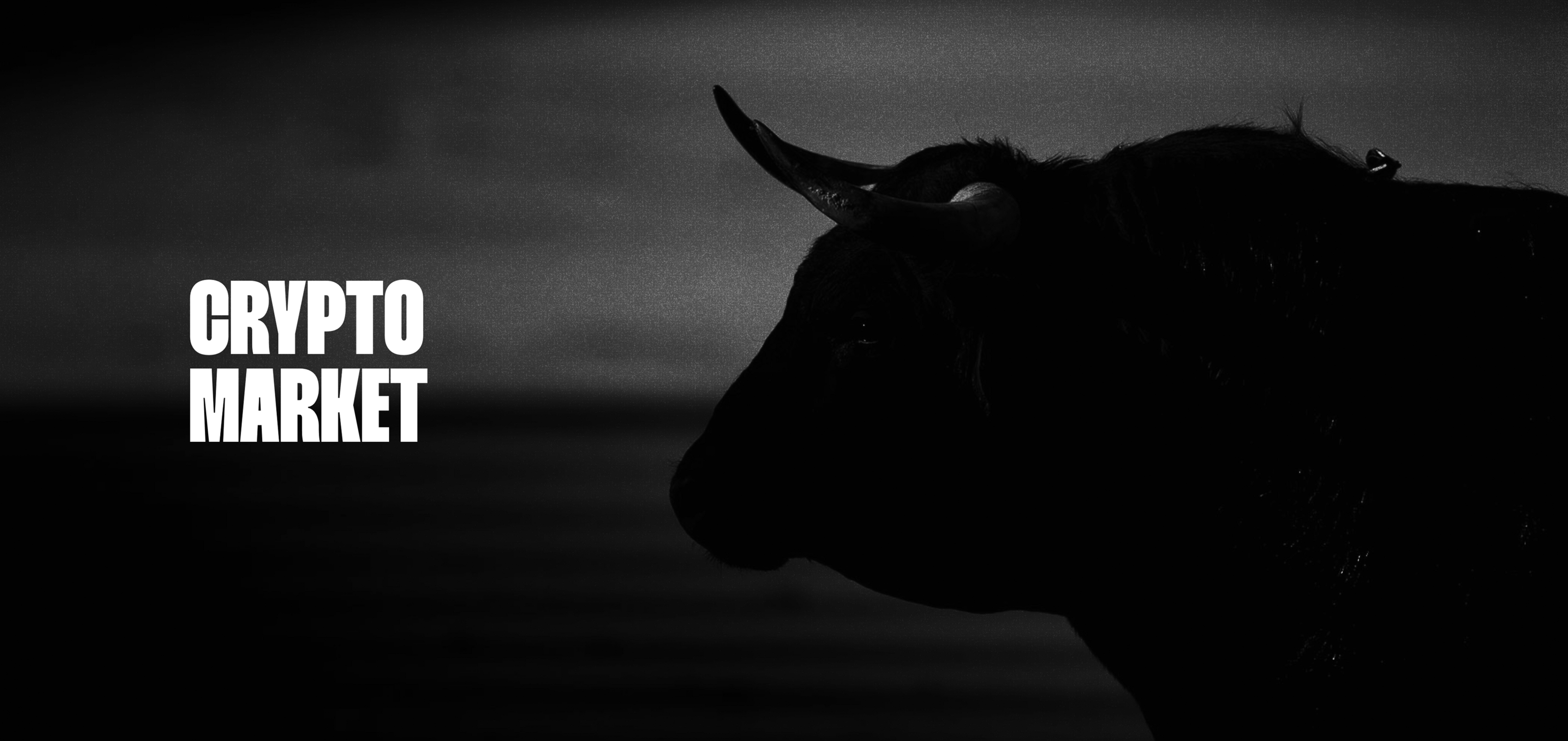 BullBoard — Crypto App & UX/UI — Изображение №24 — Интерфейсы, Брендинг на Dprofile