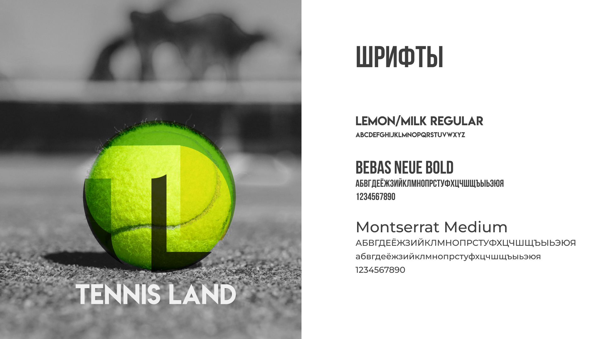 TENNIS LAND - разработка фирменного стиля — Изображение №4 — Брендинг на Dprofile