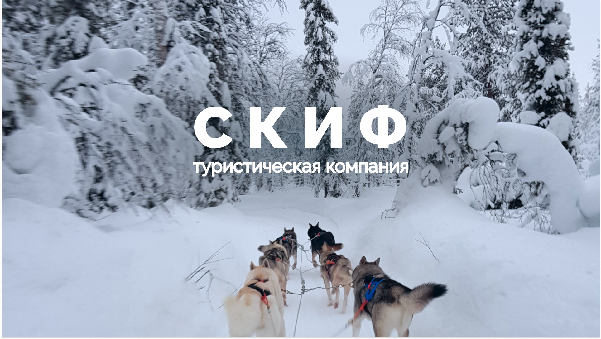 СКИФ ТУР - разработка фирменного стиля — Изображение №1 — Брендинг на Dprofile