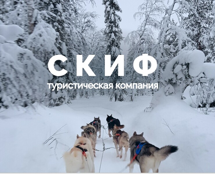 СКИФ ТУР - разработка фирменного стиля — Брендинг на Dprofile