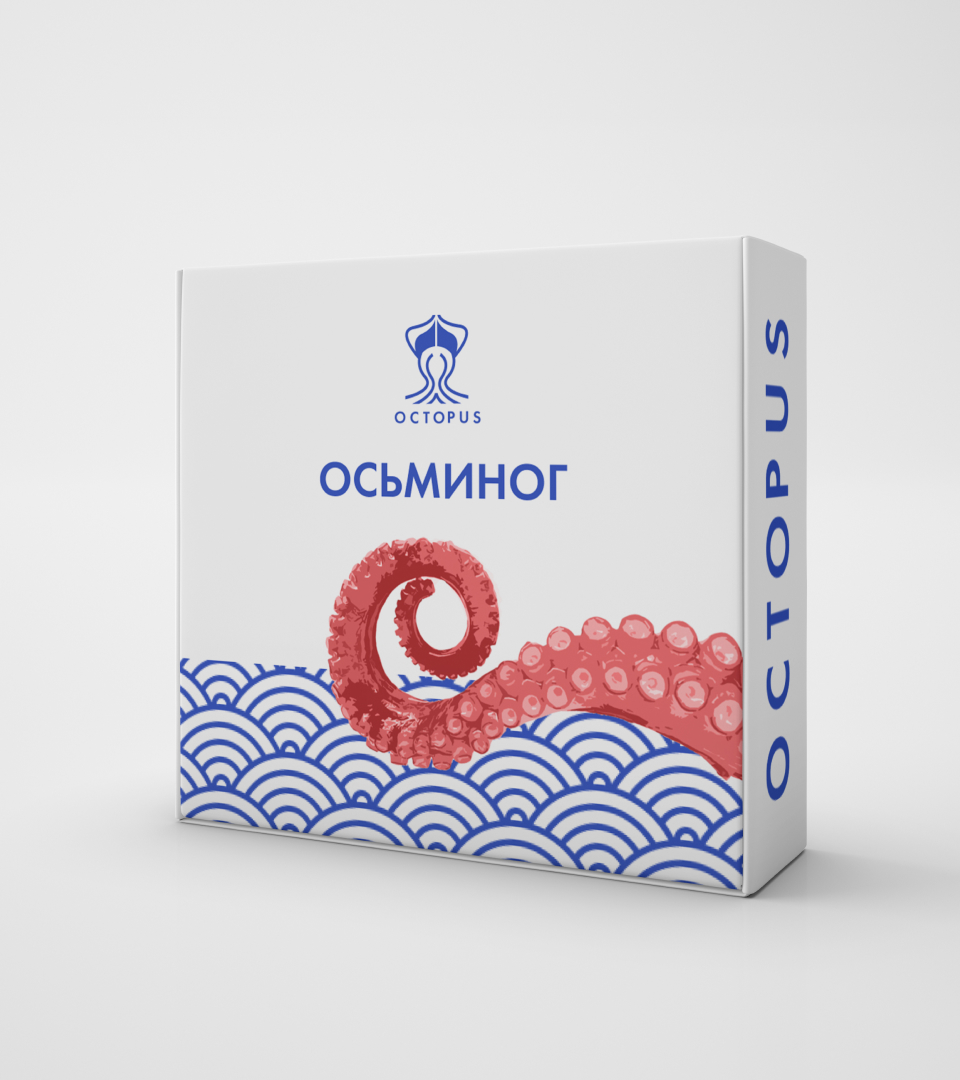 OCTOPUS дизайн логотипа и фирменного стиля — Изображение №8 — Брендинг на Dprofile
