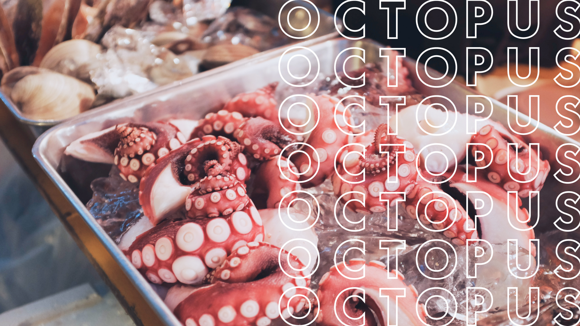 OCTOPUS дизайн логотипа и фирменного стиля — Изображение №1 — Брендинг на Dprofile