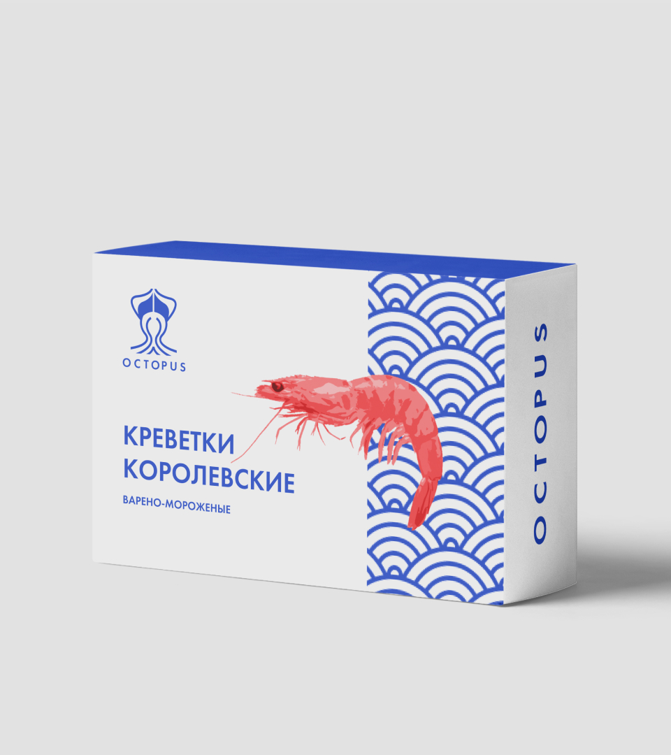 OCTOPUS дизайн логотипа и фирменного стиля — Изображение №10 — Брендинг на Dprofile