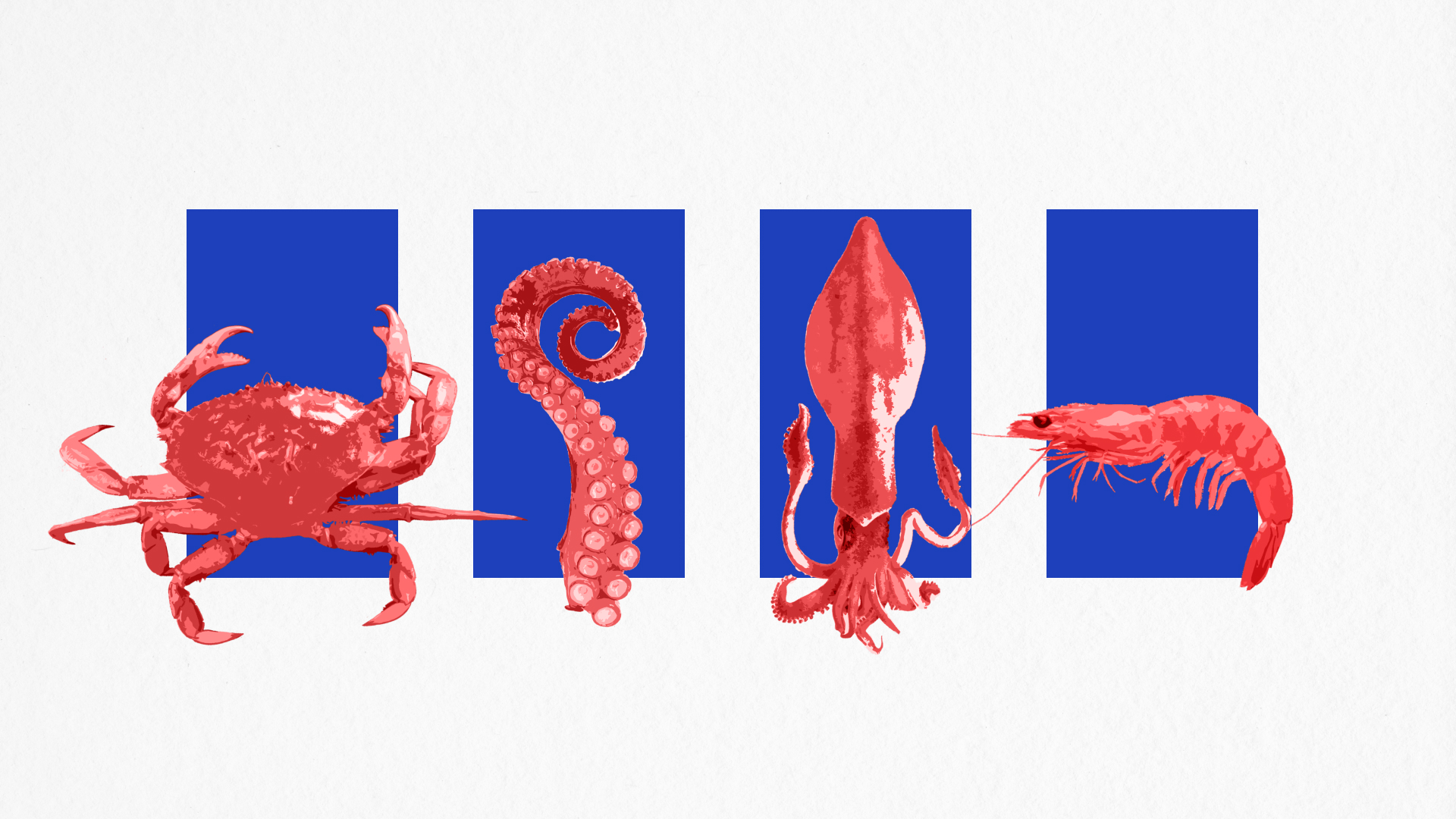 OCTOPUS дизайн логотипа и фирменного стиля — Изображение №6 — Брендинг на Dprofile