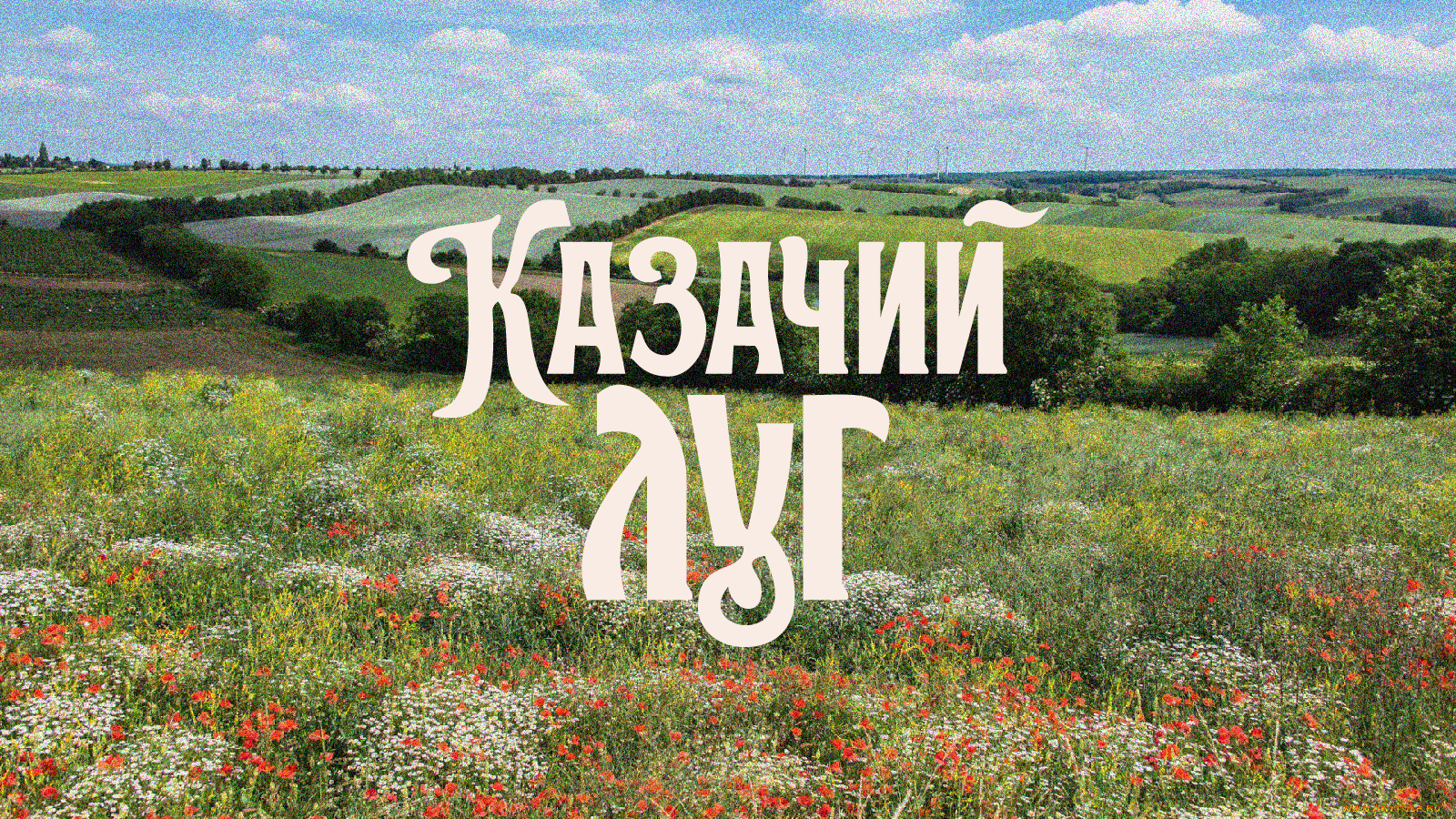 Казачий луг / Айдентика / Фестиваль народного творчества — Изображение №1 — Брендинг, Графика на Dprofile