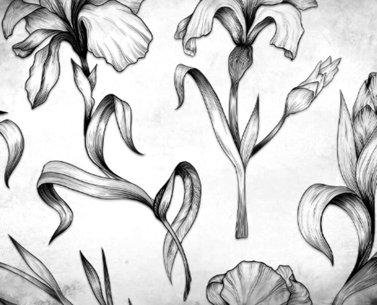 LADA cosmetics. Дизайн для натуральной косметики — Брендинг на Dprofile