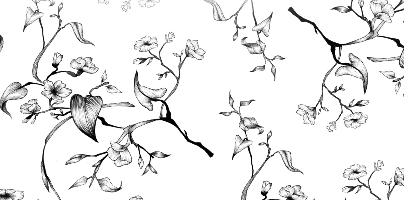 LADA cosmetics. Дизайн для натуральной косметики — Изображение №4 — Брендинг на Dprofile