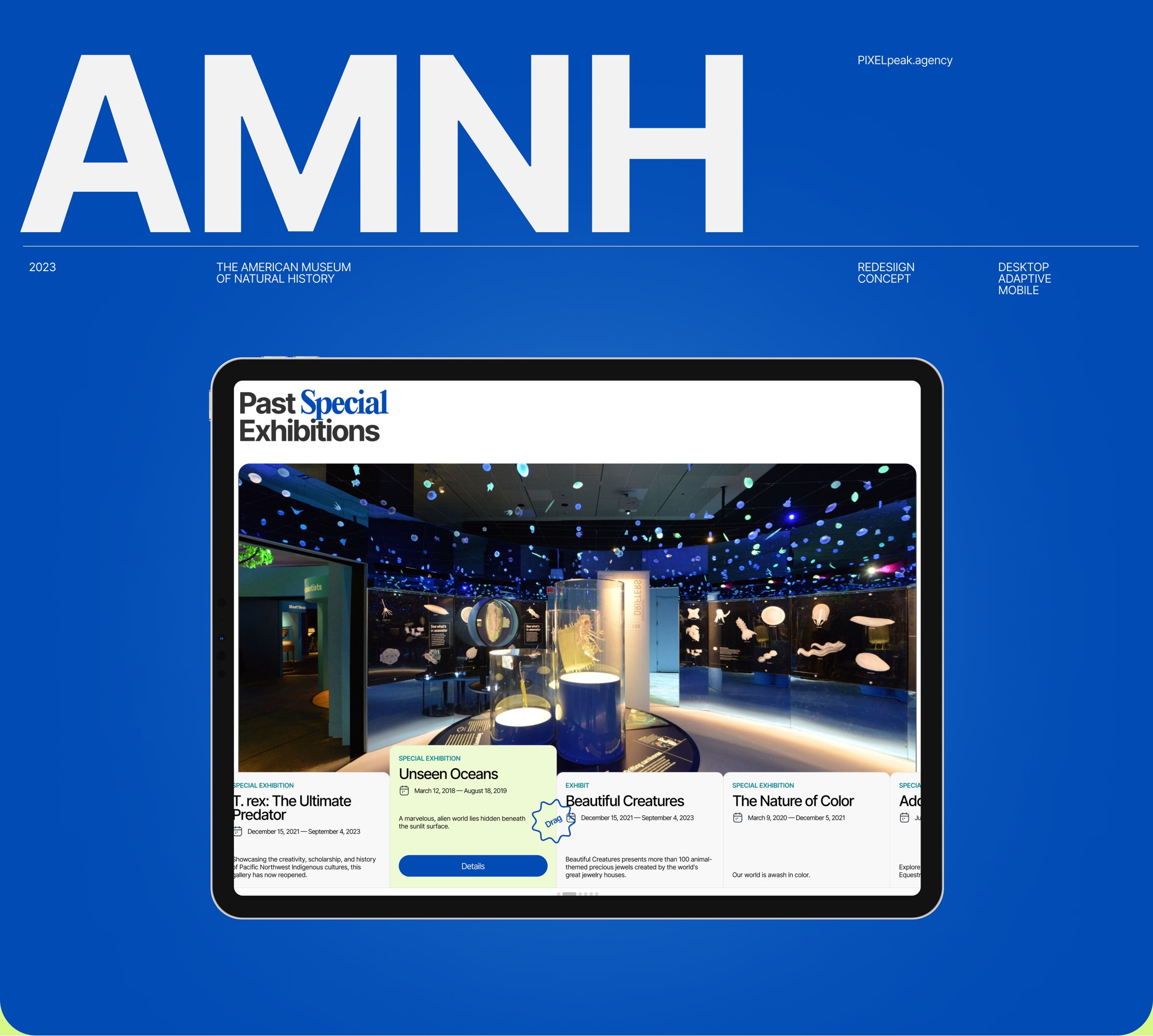 The American Museum of Natural History — Изображение №1 — Интерфейсы на Dprofile