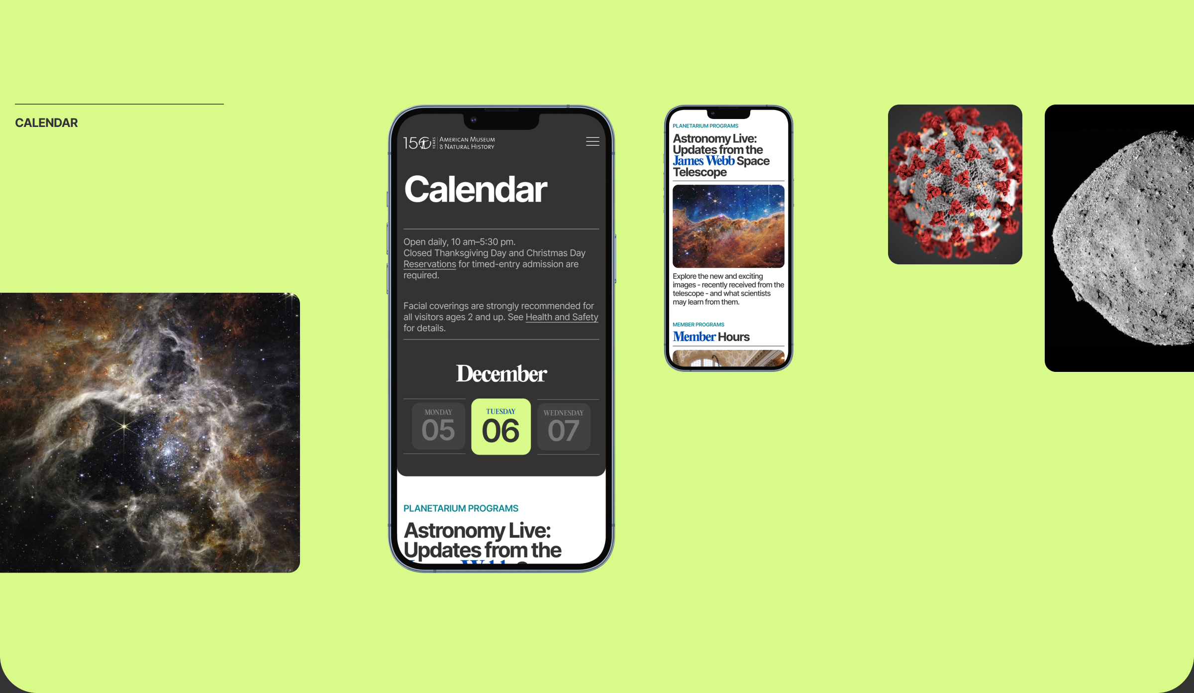 The American Museum of Natural History — Изображение №8 — Интерфейсы на Dprofile